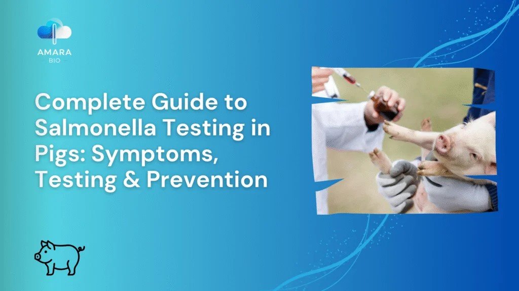Complete Guide to Salmonella Testing in Pigs: Symptoms, Testing & Prevention