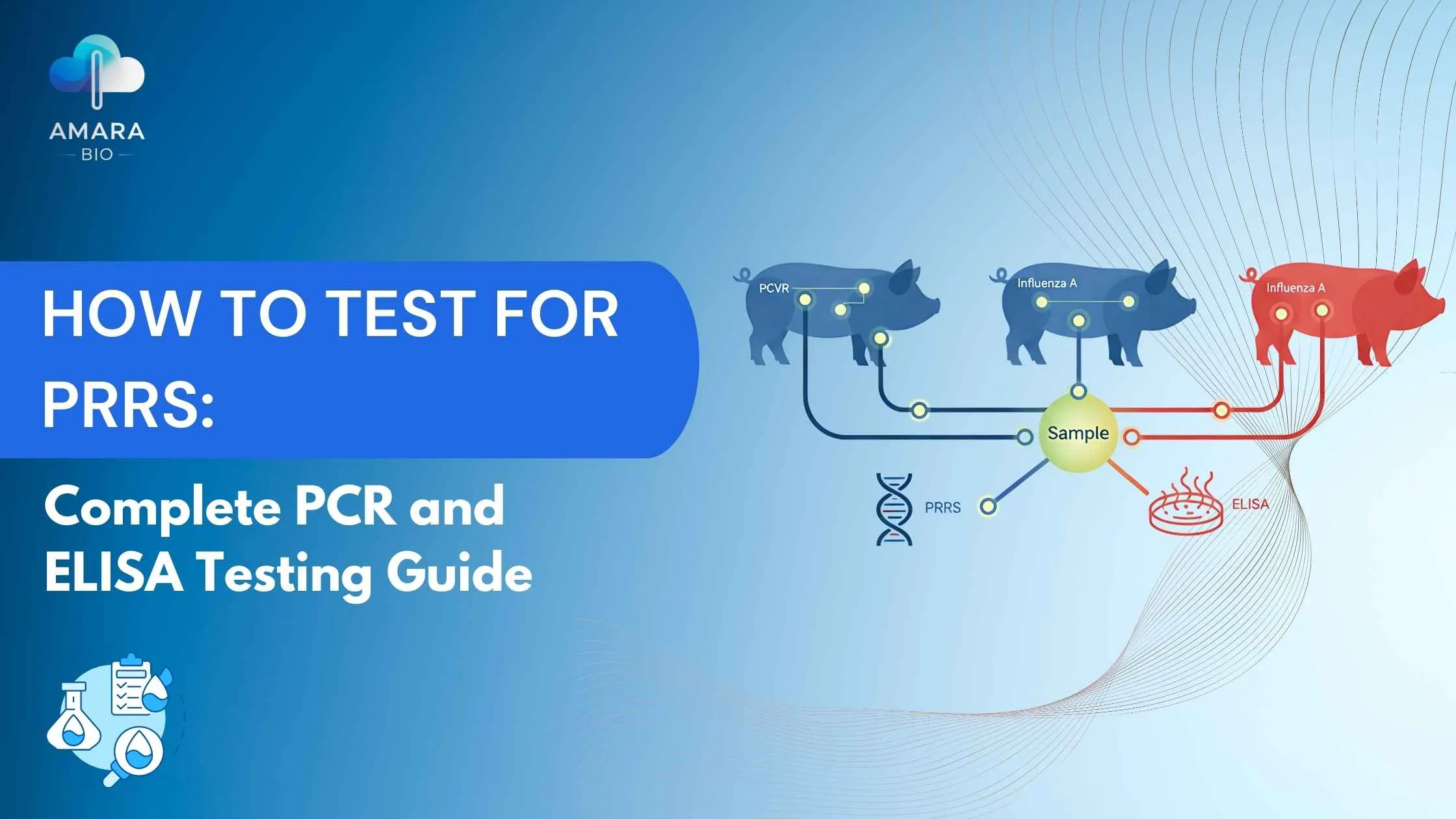 How to Test for PRRS: Complete PCR and ELISA Testing Guide