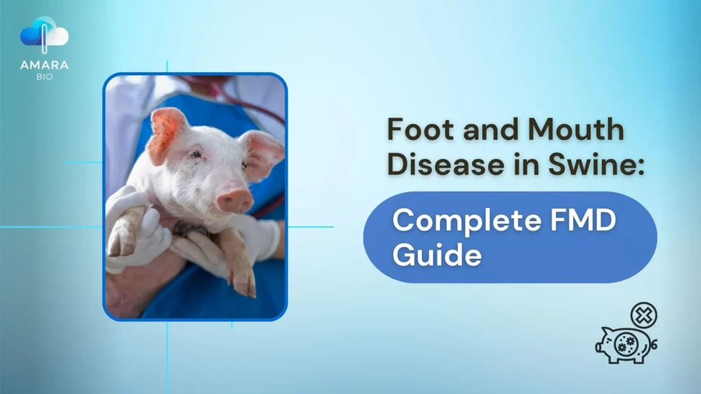 Foot and Mouth Disease in Swine Complete FMD Guide