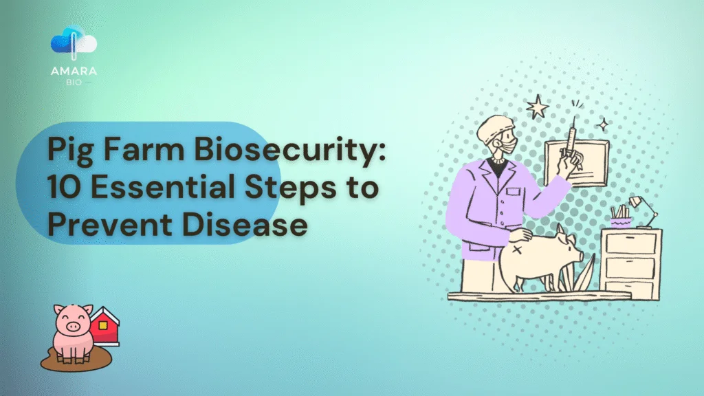 Pig Farm Biosecurity: 10 Essential Steps to Prevent Disease